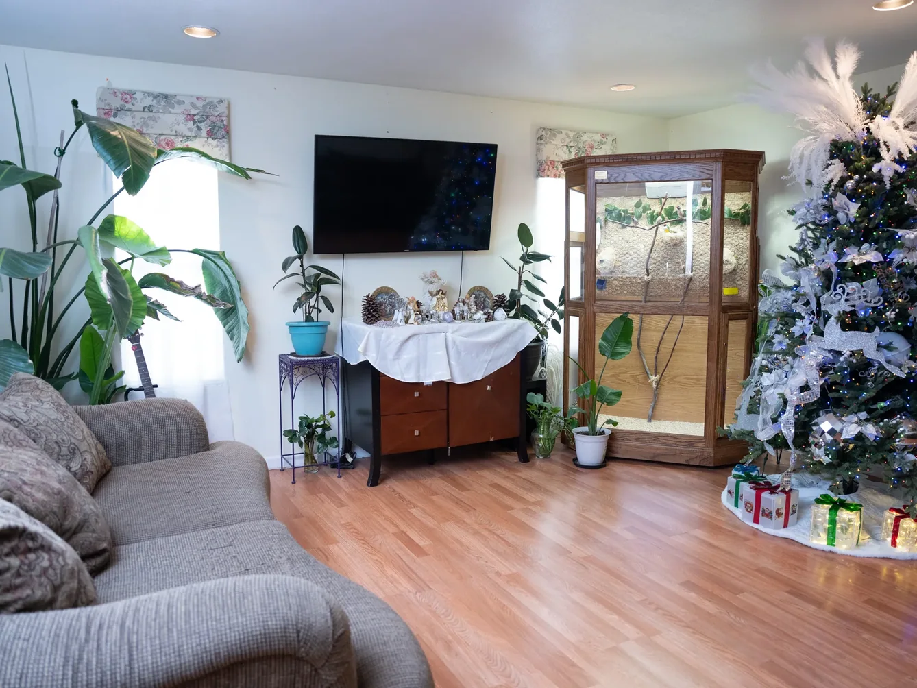 Bright, spacious living room with holiday decorations, plants, and comfortable furnishings
